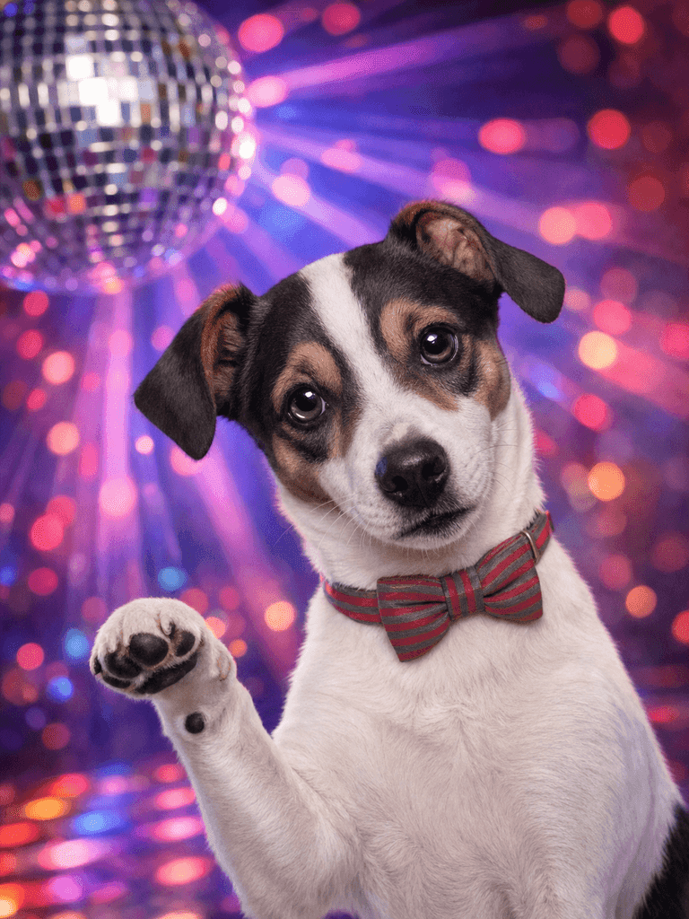 Generated Custom Scene / Custom pet portrait 5